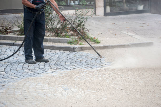 Best Driveway Pressure Washing  in Galesville, MD